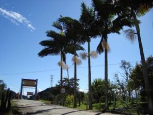 Ponte Pênsil do Campeche